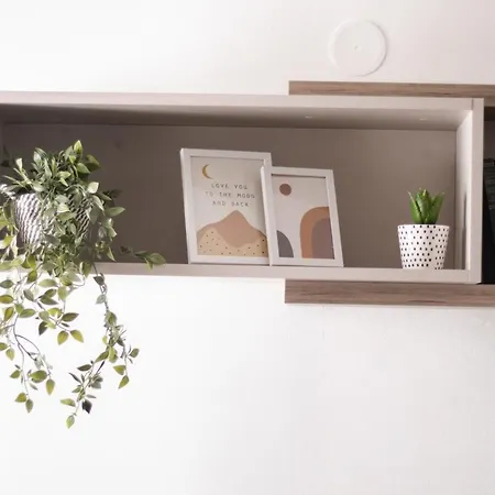 Vas Dom 2 크랄레보