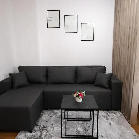 Vas Dom 2 Apartment Kraljevo