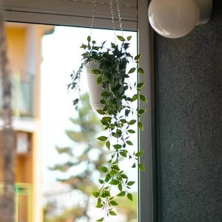 Vas Dom 2 Διαμέρισμα